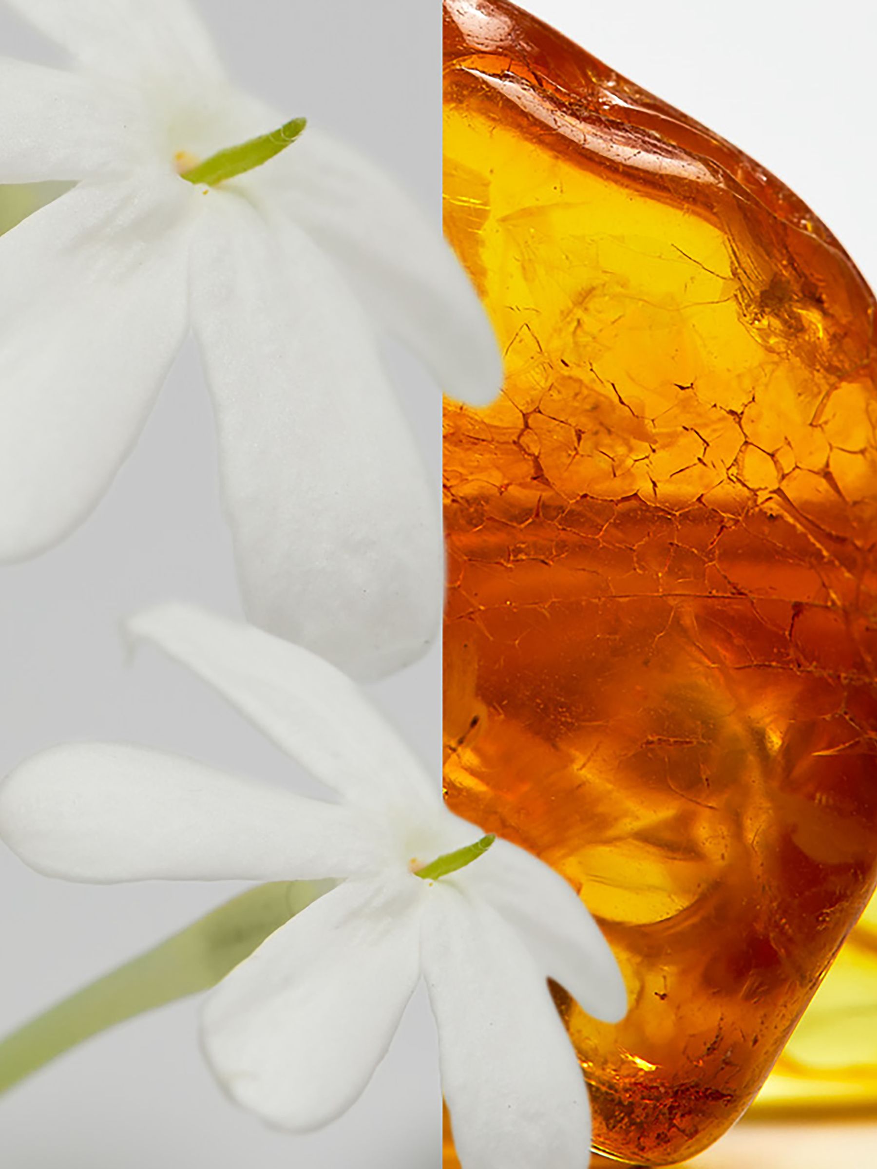 50ml Eau De Parfum in Gold