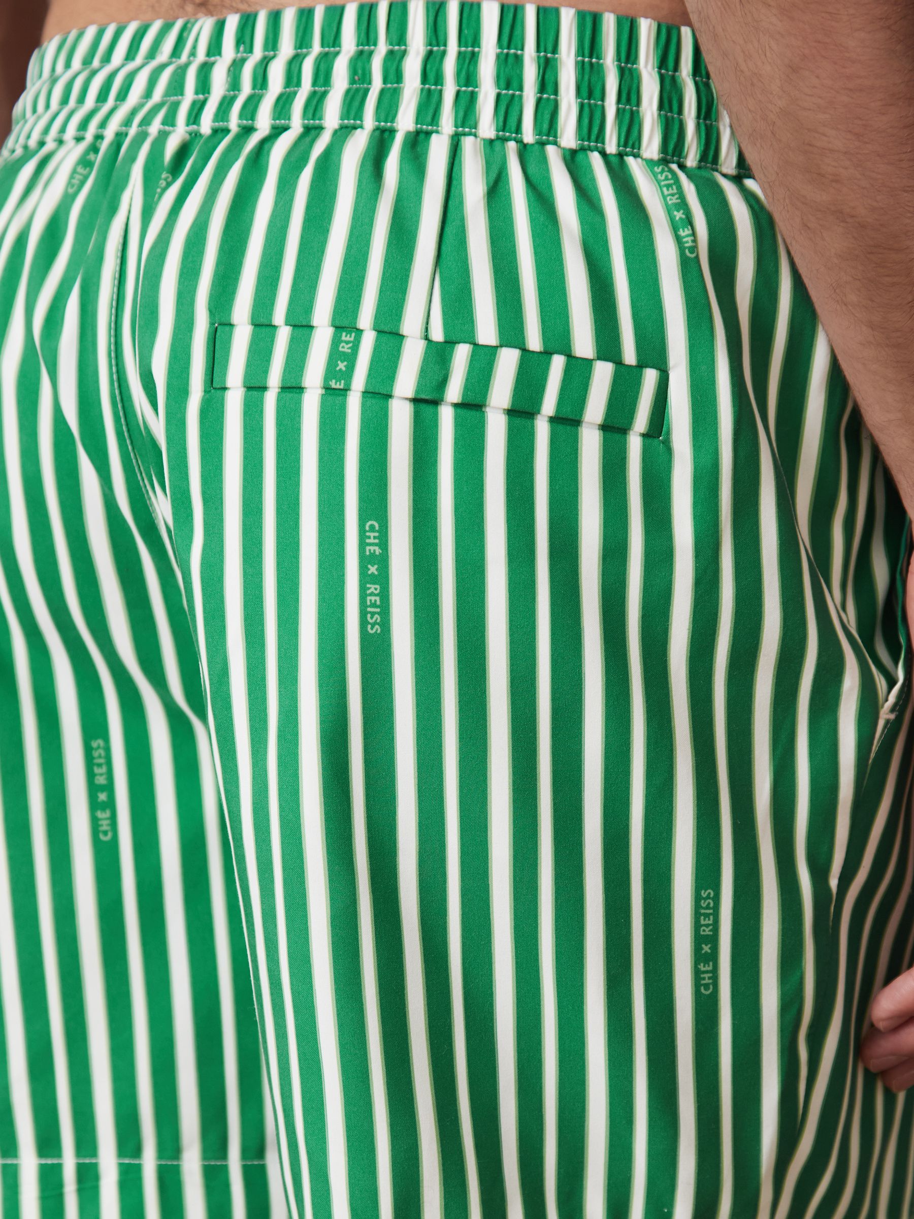 Reiss | Ché Stripe Swim Shorts in Green/White