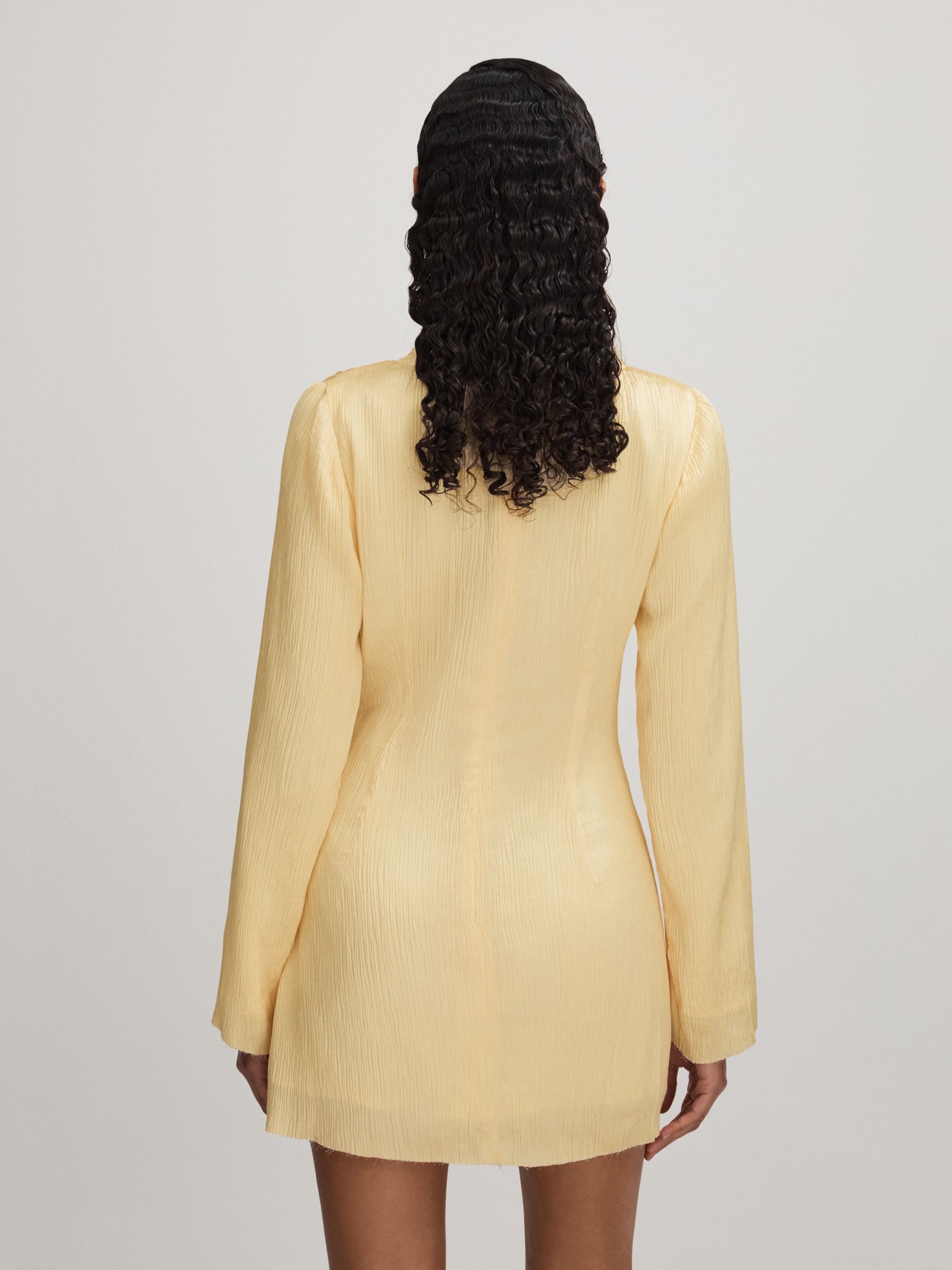 Heather Buttercup Anna Quan Plisse Raw Hem Mini Dress