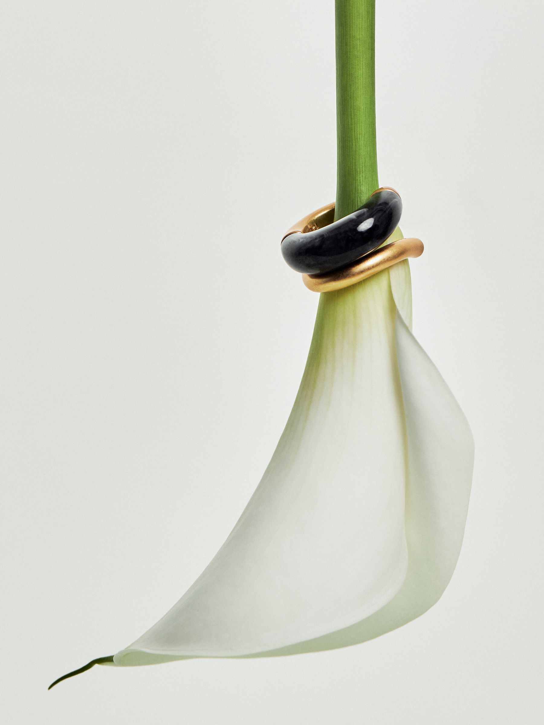 Tone Scoop Enamel Hoop Earrings in Gold