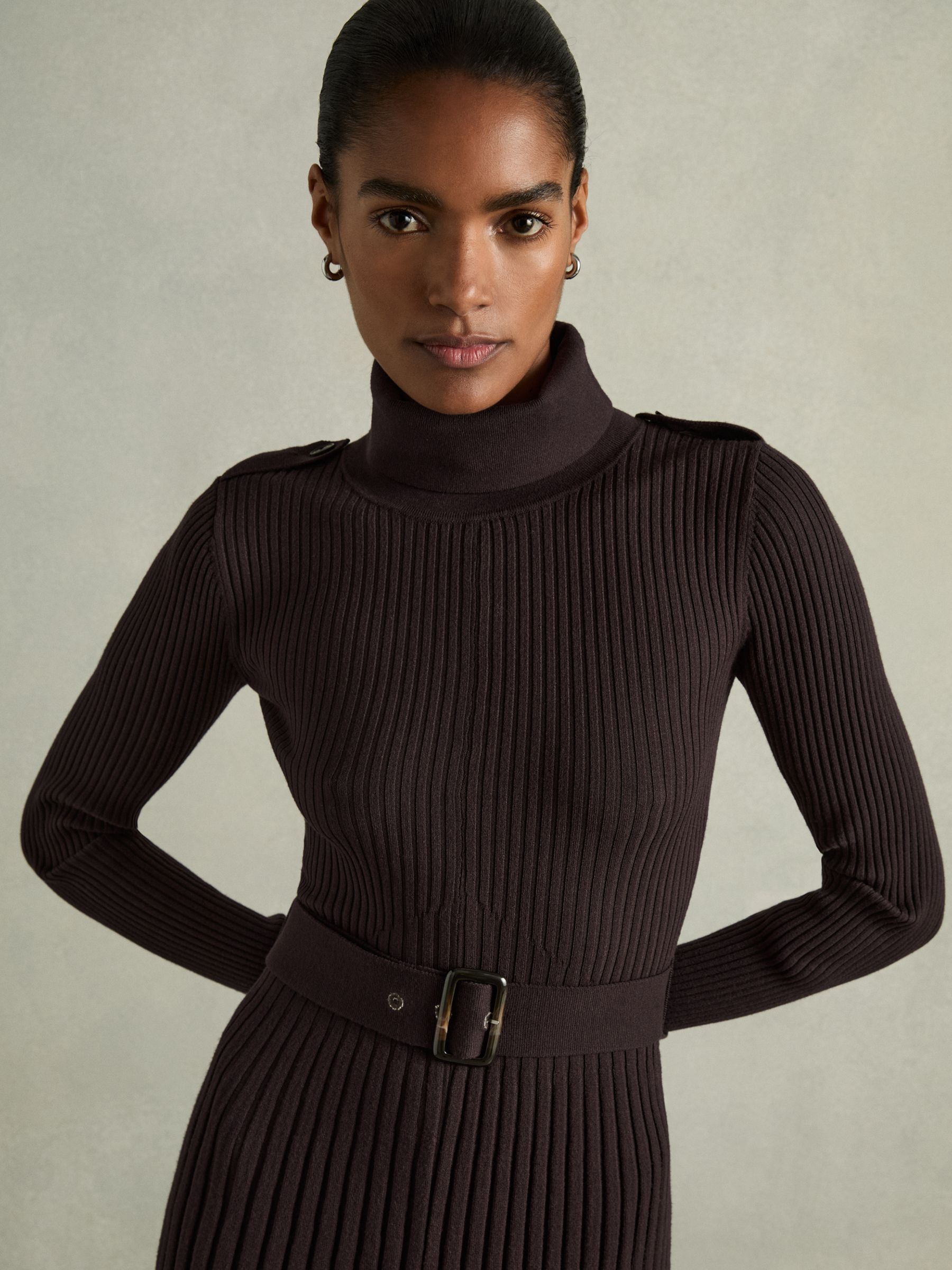 Roll-Neck Ribbed Mini Dress in Brown