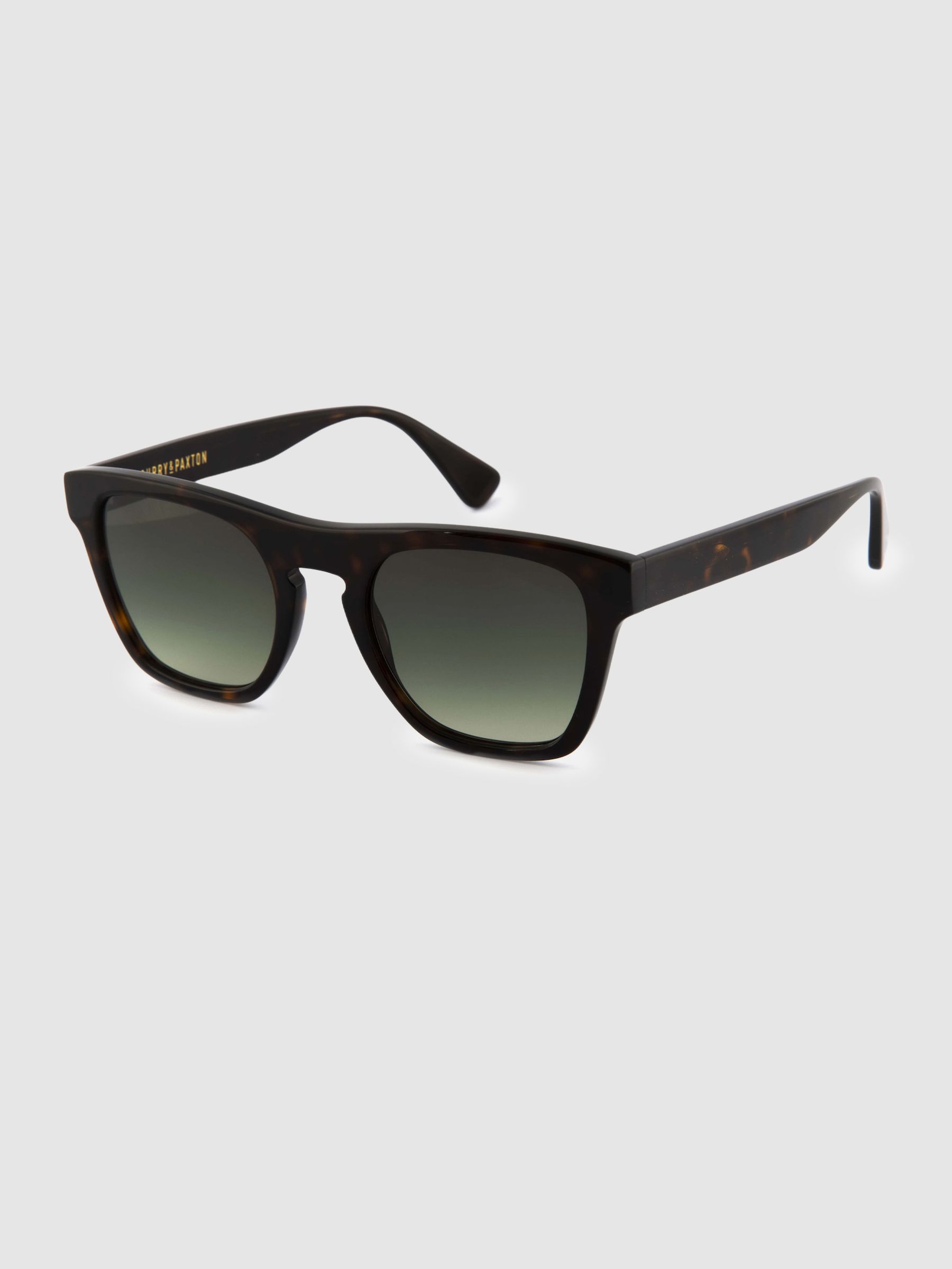 Curry and Paxton Square Sunglasses in Tortoise