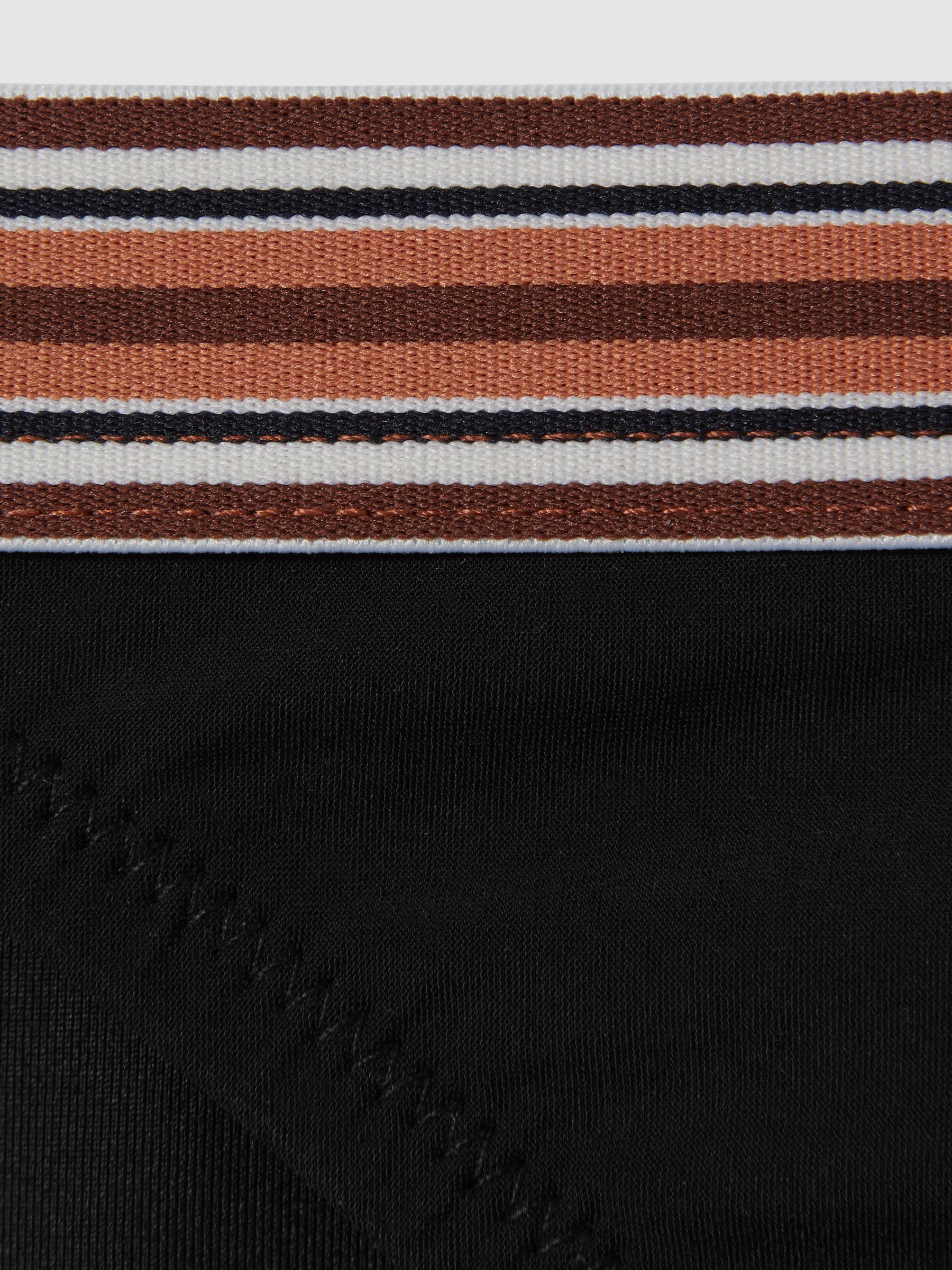 Striped Waistband Bikini Bottoms in Black/Brown