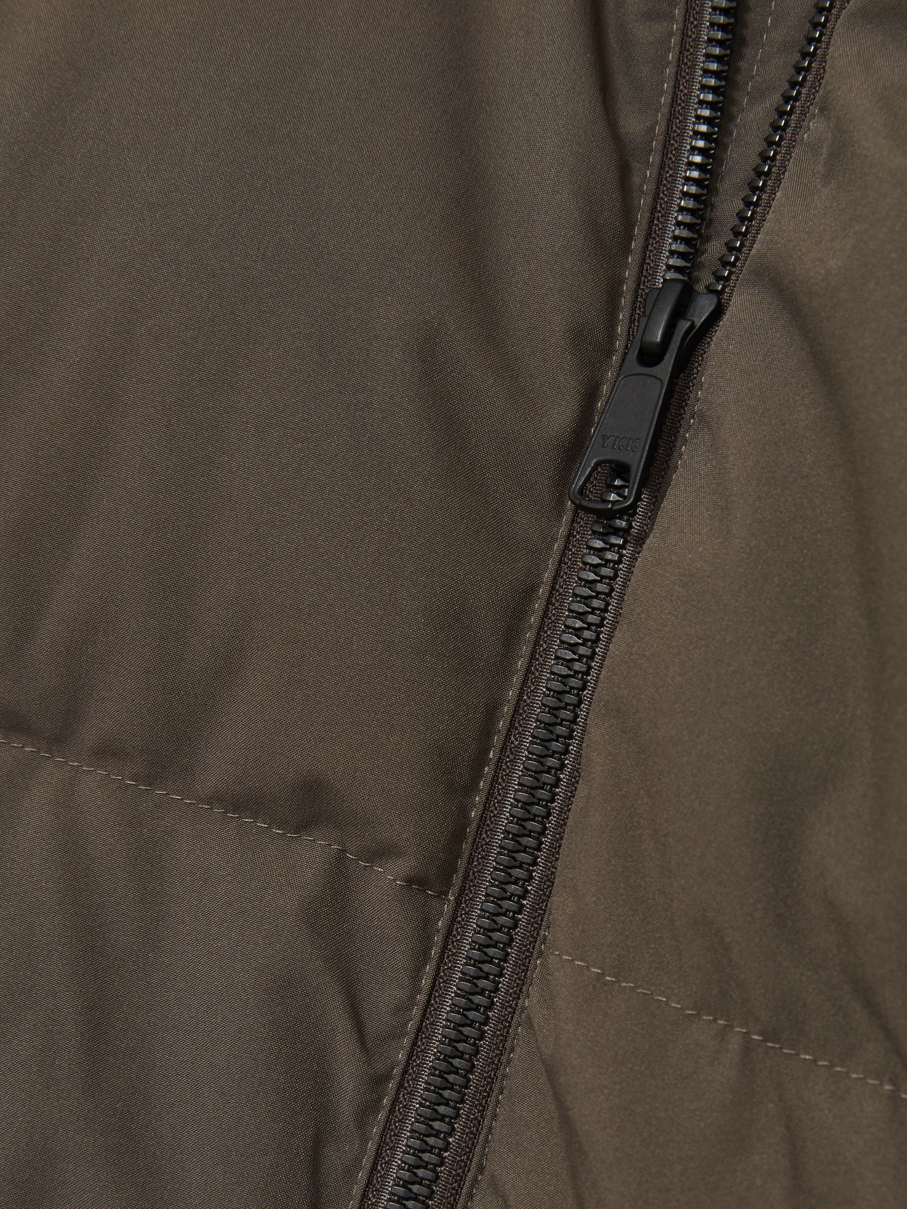 Scandinavian Edition Short Puffer Jacket in Brown