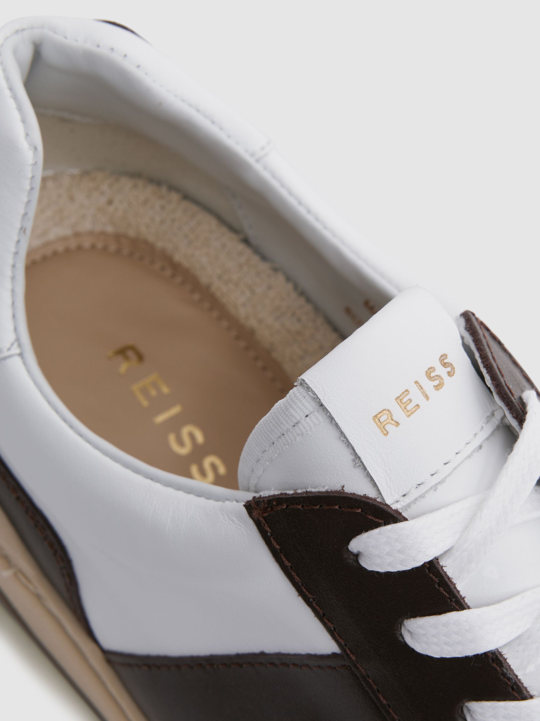 Low Top Leather Trainers in Brown