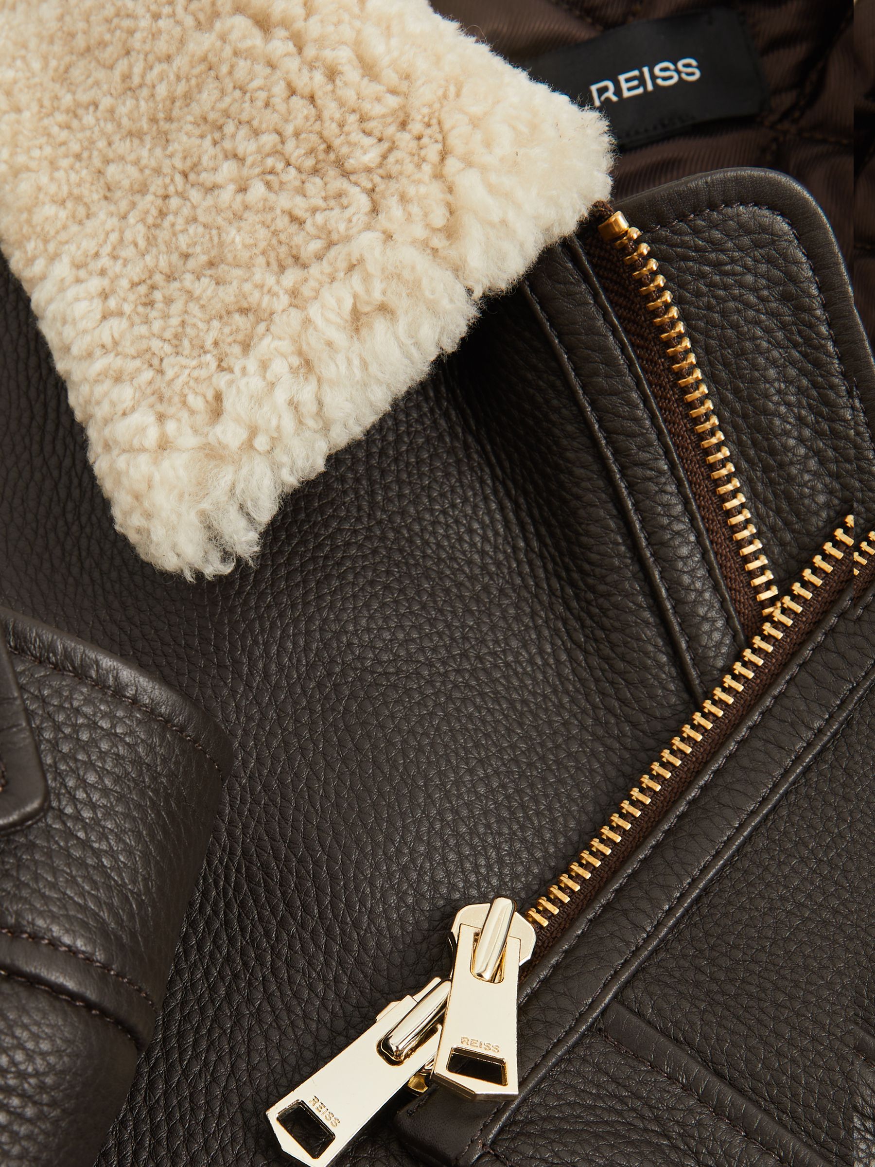 Shearling-Collar Leather Jacket in Dark Brown