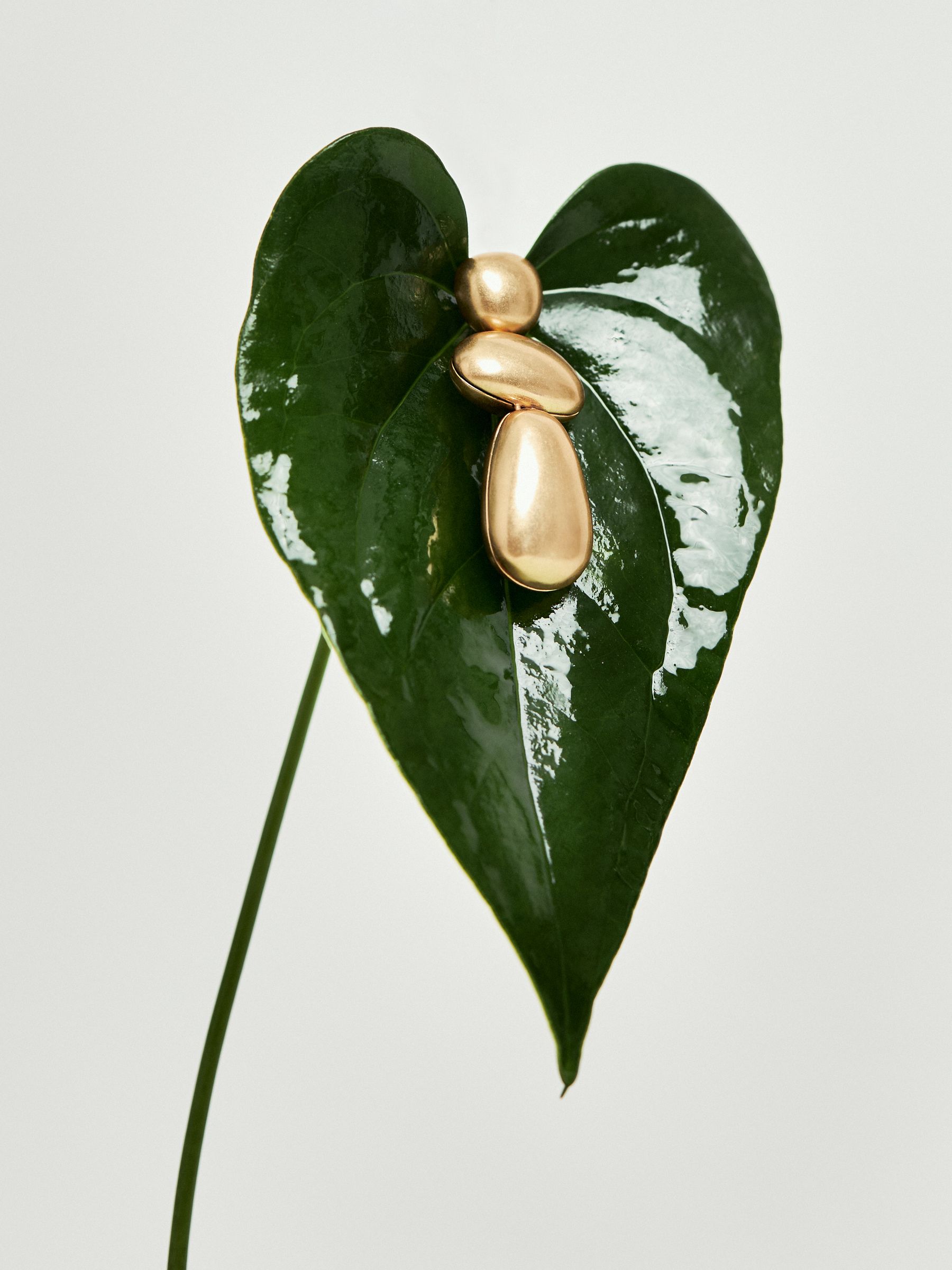 Tone Dome Drop Earrings in Gold