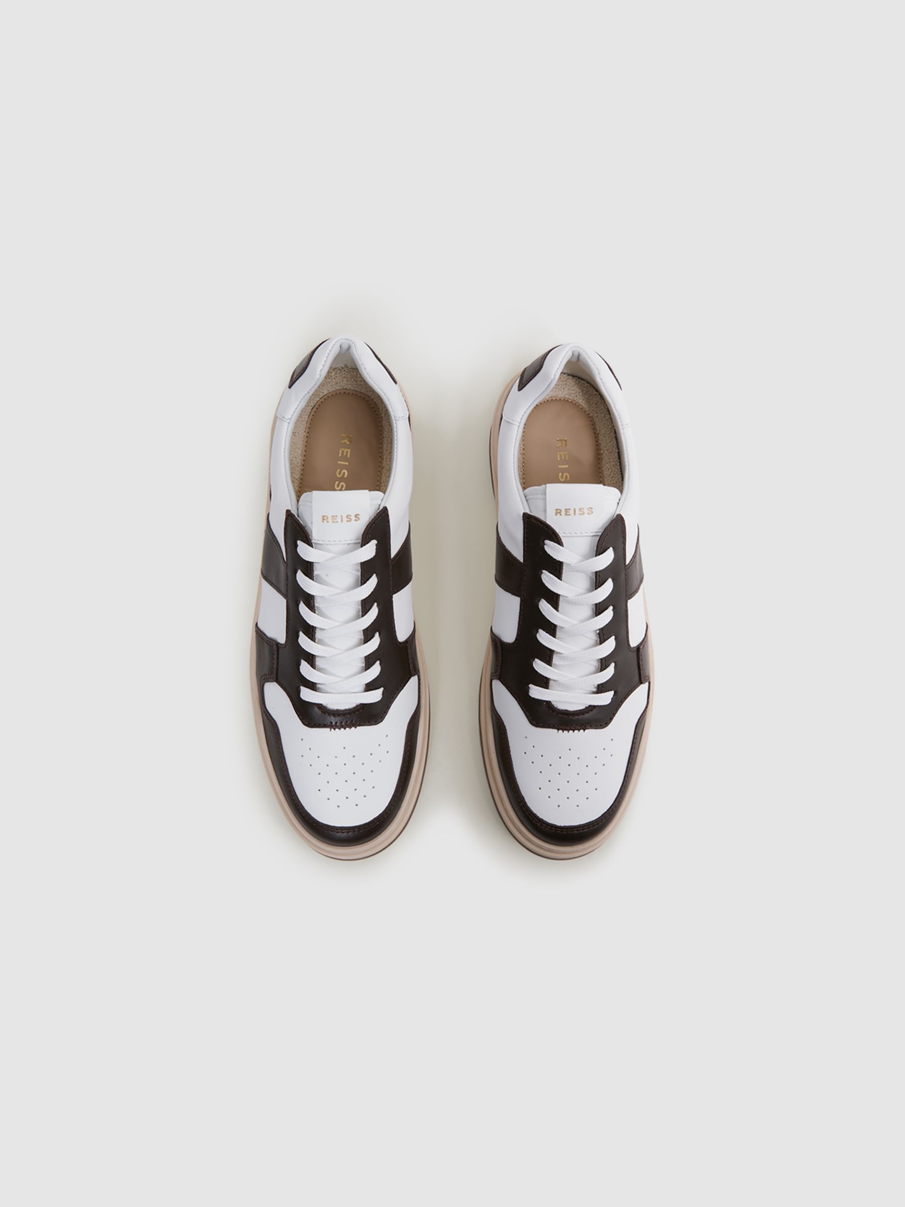 Low Top Leather Trainers in Brown