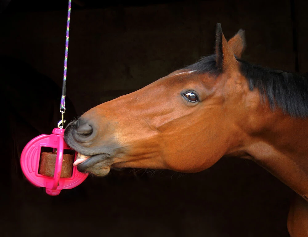 LIKIT Bizzy Horse Toy