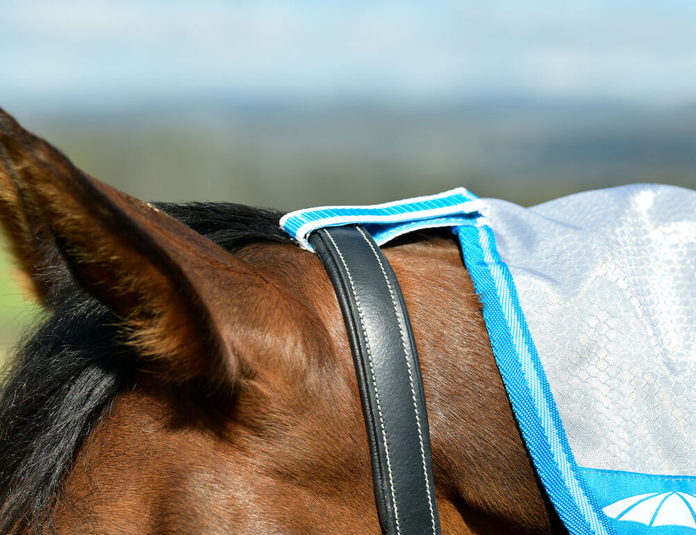 WEATHERBEETA ComFiTec Hexi Shield Combo Neck