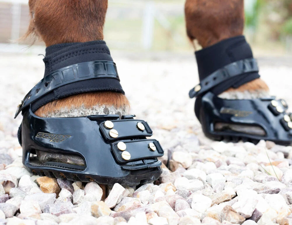 SCOOT BOOTS Scoot Boot Endurance Gaiter