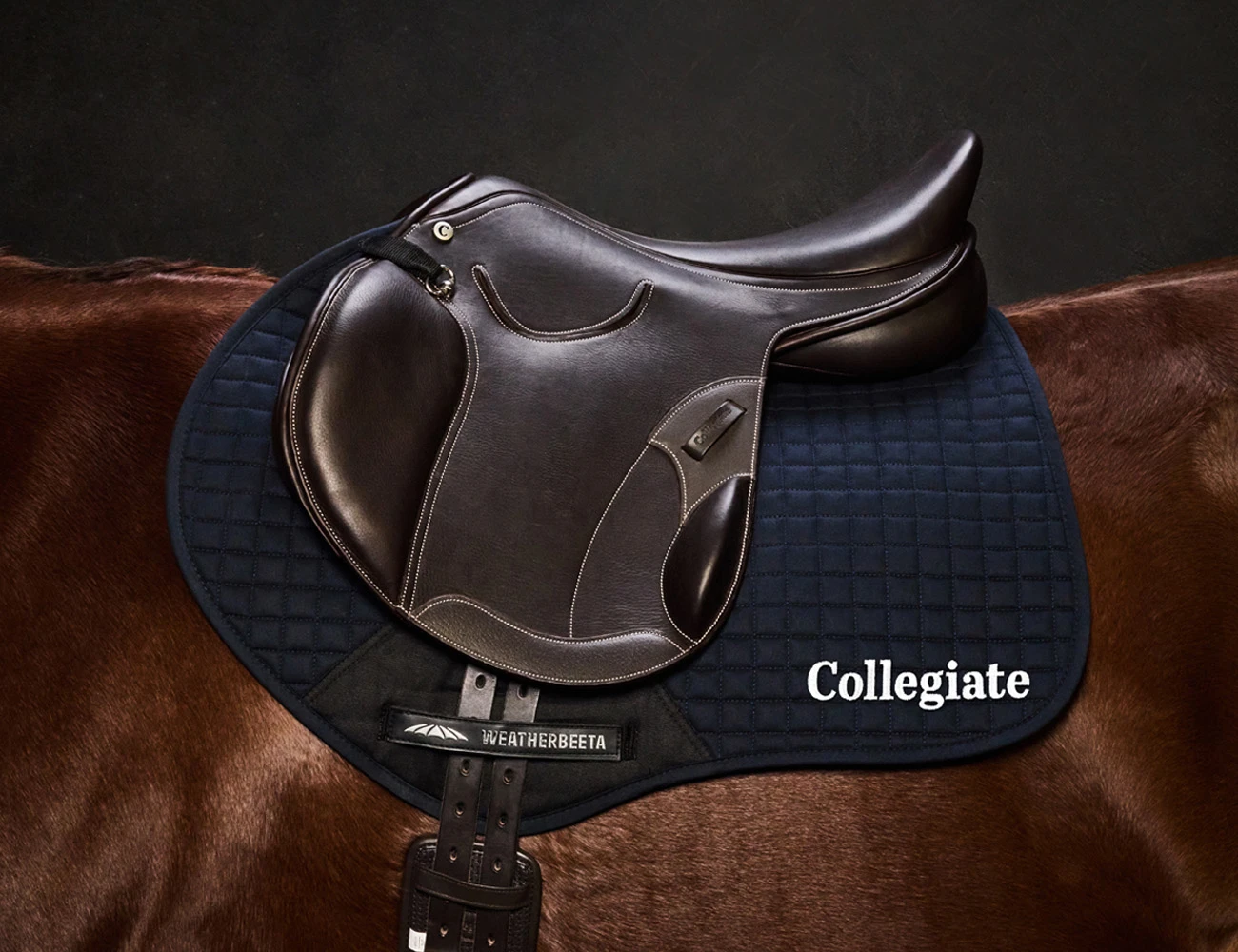 COLLEGIATE Distinction Mono Event Saddle