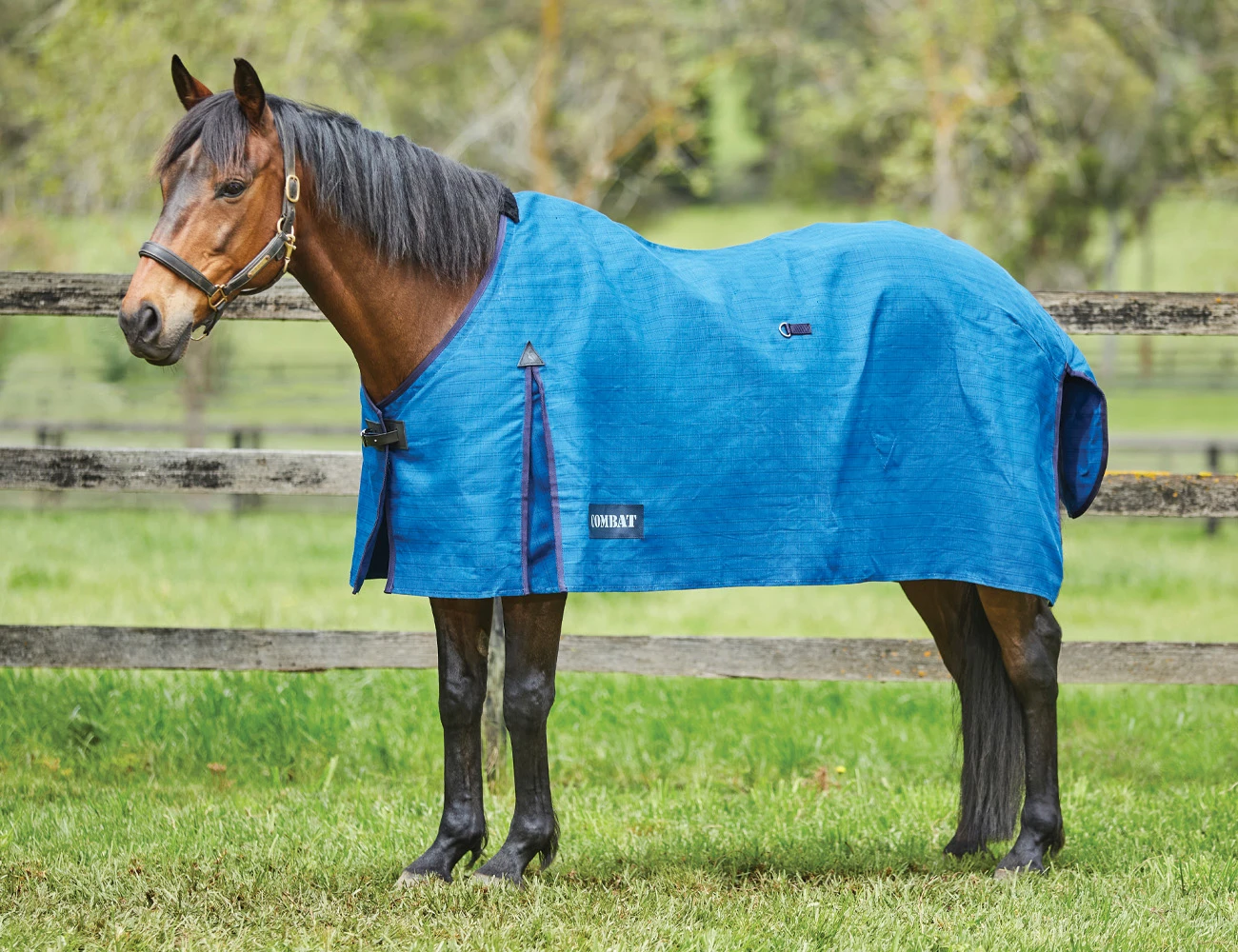 COMBAT Canvas Standard Neck Lite