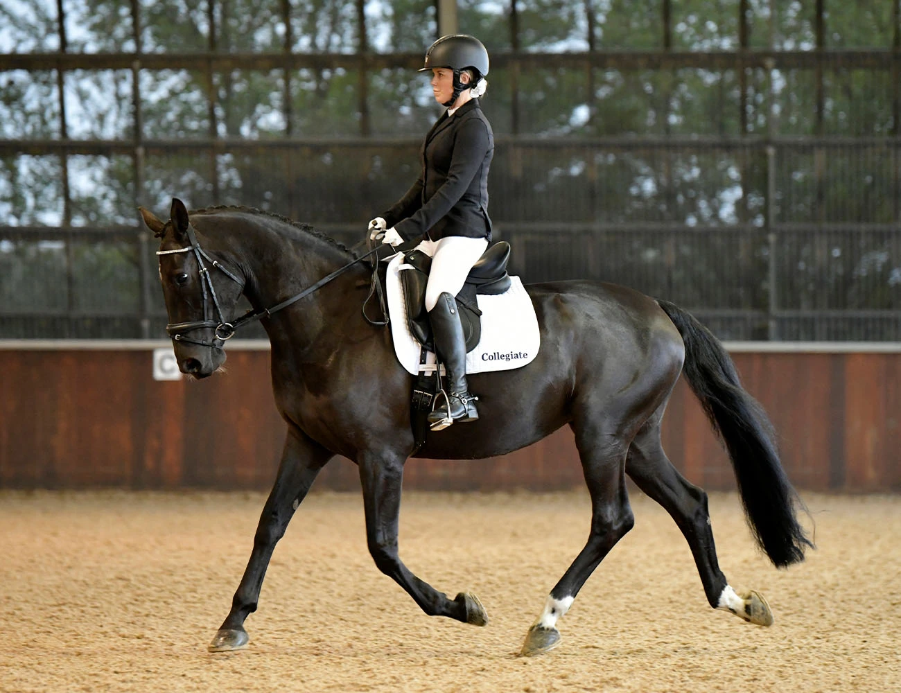 COLLEGIATE Acclaim Dressage Saddle