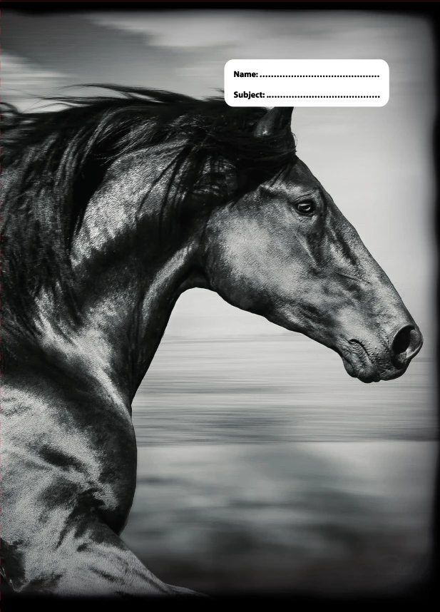 SPENCIL A4 Book Cover - B&W Horses V