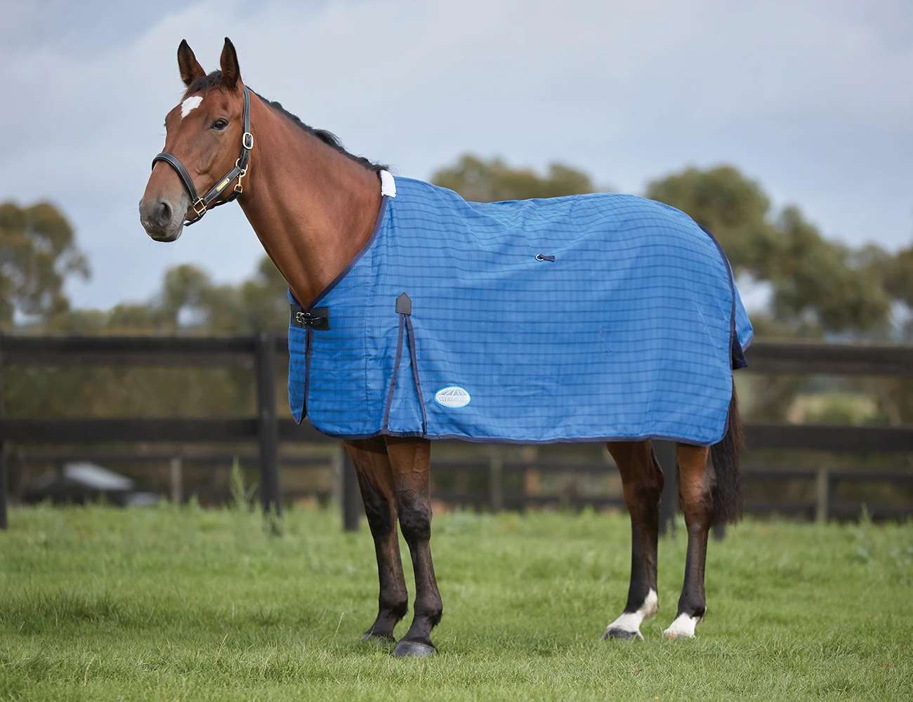 WEATHERBEETA Lined Canvas Standard Neck