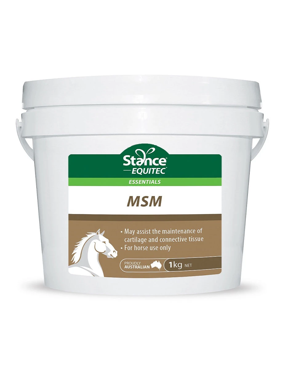 STANCE EQUITEC Stance Essentials Msm - 1KG