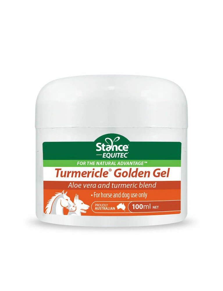 STANCE EQUITEC Equitec Tumericle Golden Gel - 100ML