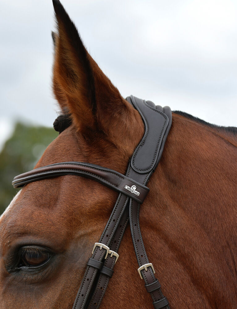 COLLEGIATE ComFiTec Opulux Plain Padded Grackle Bridle