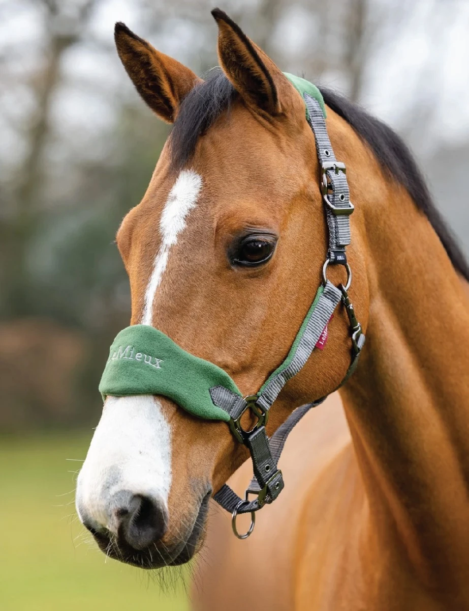 LEMIEUX Lemieux Vogue Fleece Headcollar And Lead Rope