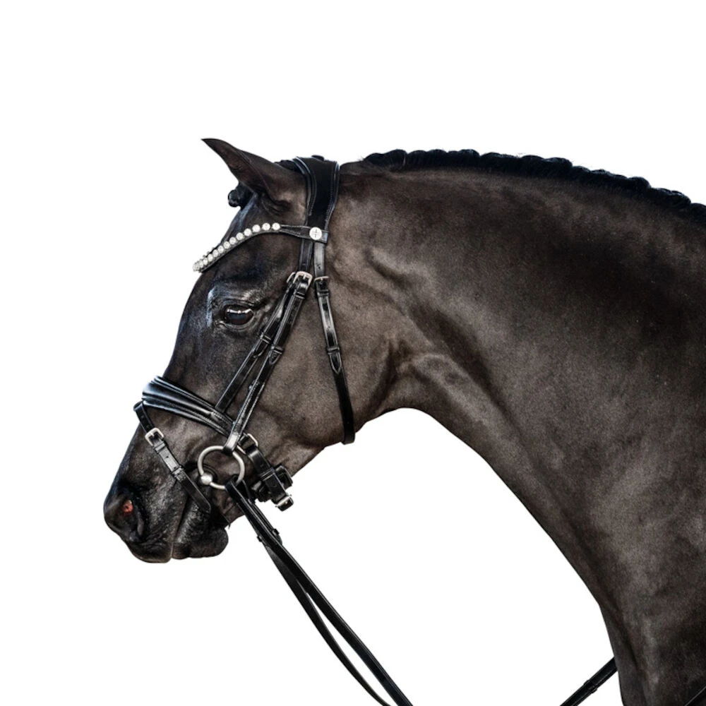 LARA TWEEDIE Essential Pony Bridle With Flash