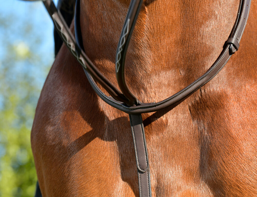 COLLEGIATE ComFiTec Opulux Fancy Raised Running Martingale