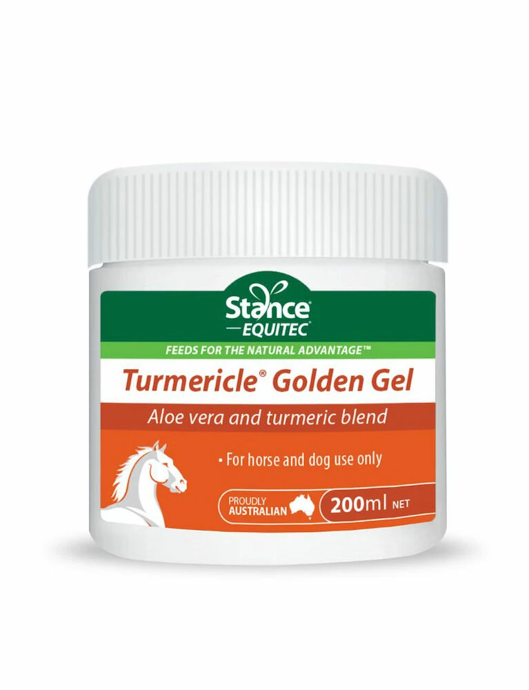 STANCE EQUITEC Equitec Tumericle Golden Gel - 200ML