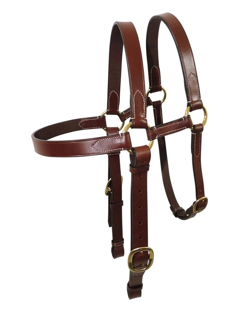 TANAMI Extended Bridle Head Brass