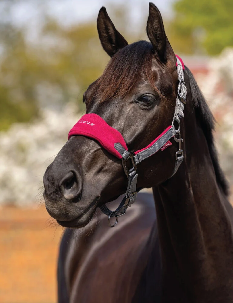 LEMIEUX Lemieux Vogue Fleece Headcollar And Lead Rope