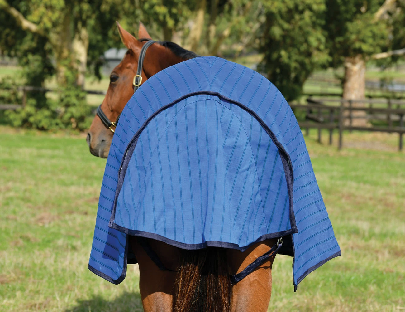 WEATHERBEETA Lined Canvas Standard Neck