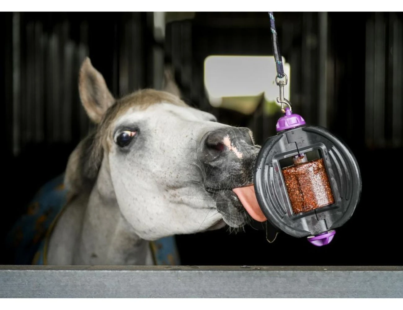 LIKIT Bizzy Horse Toy