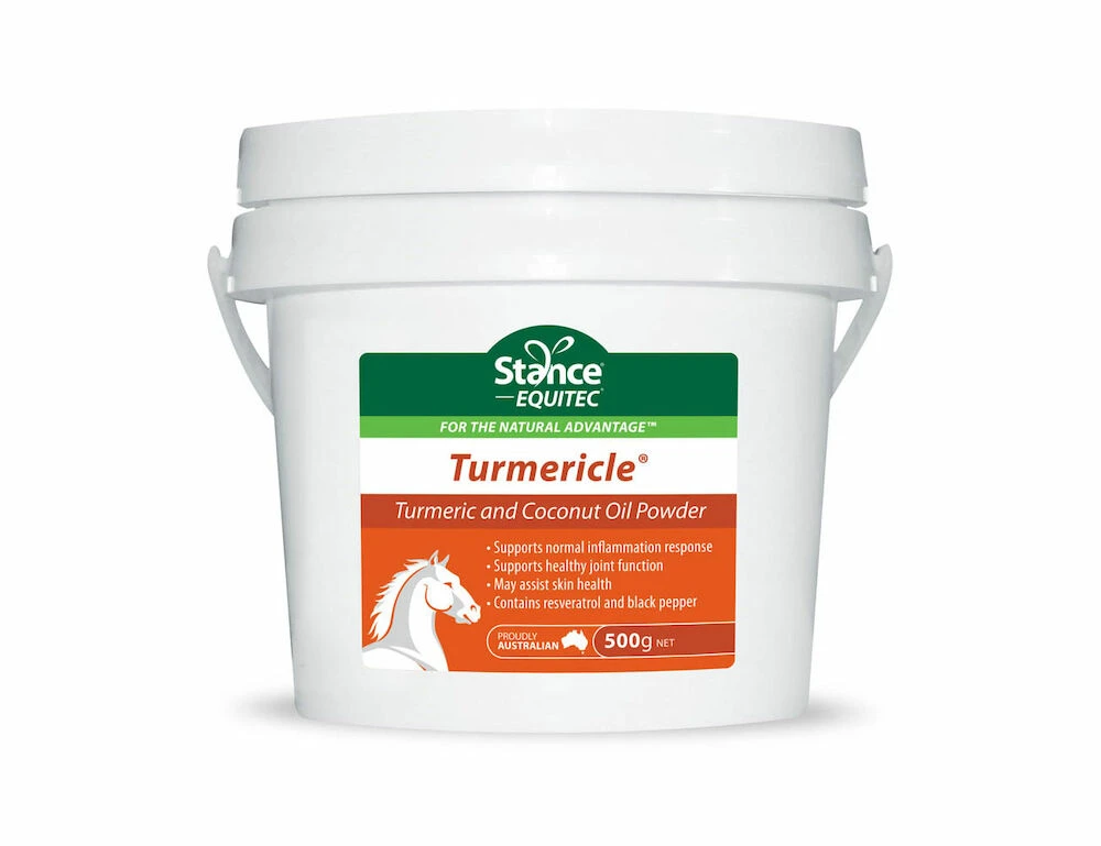 STANCE EQUITEC Equitec Turmericle - 500GM