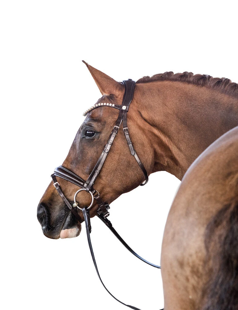 LARA TWEEDIE Essential Snaffle Bridle With Flash