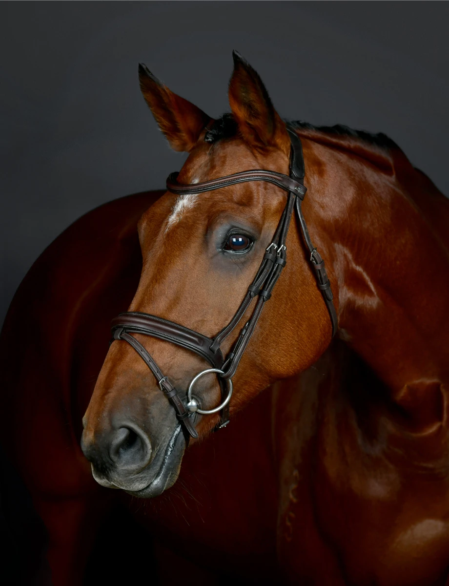 COLLEGIATE ComFiTec Opulux Plain Padded Hanoverian Flash Bridle