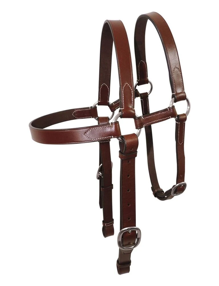 TANAMI Extended Bridle Head Chrome
