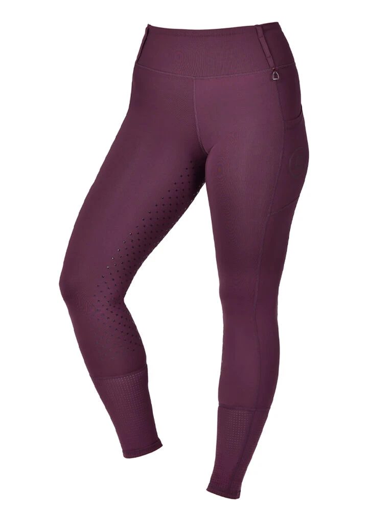 DUBLIN Form Mesh Riding Tights