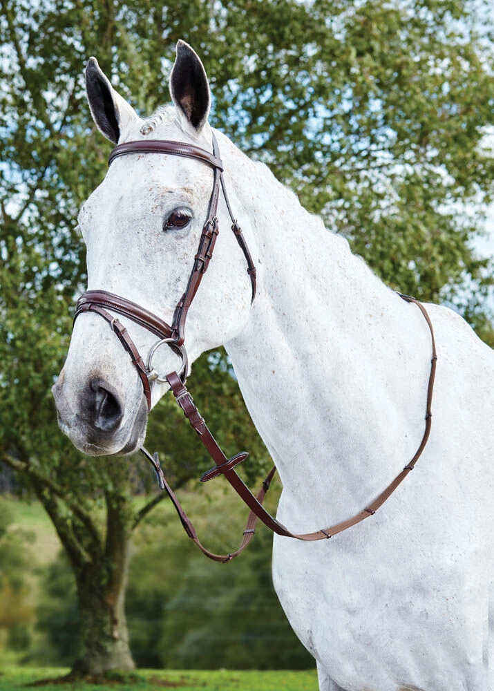 KINCADE Flash Bridle III