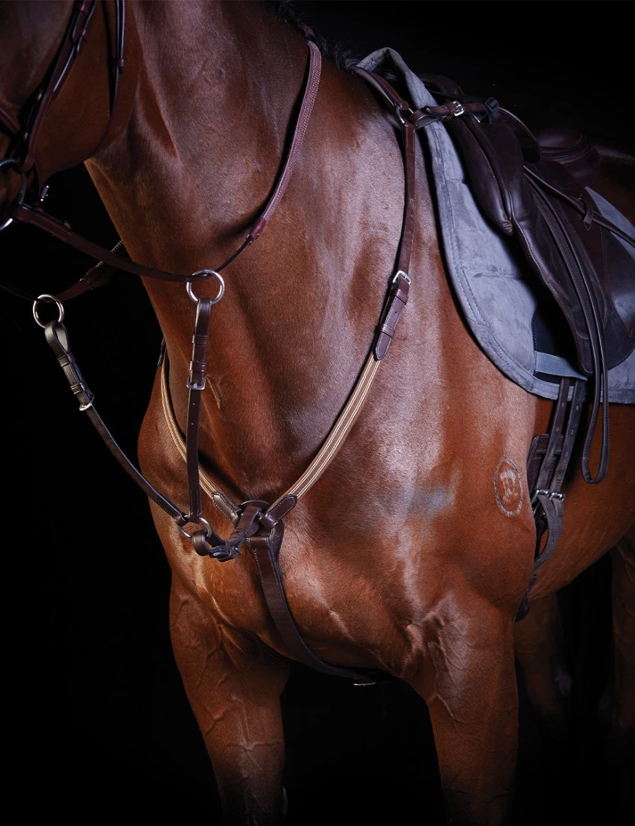 COLLEGIATE Elastic Event Breastplate