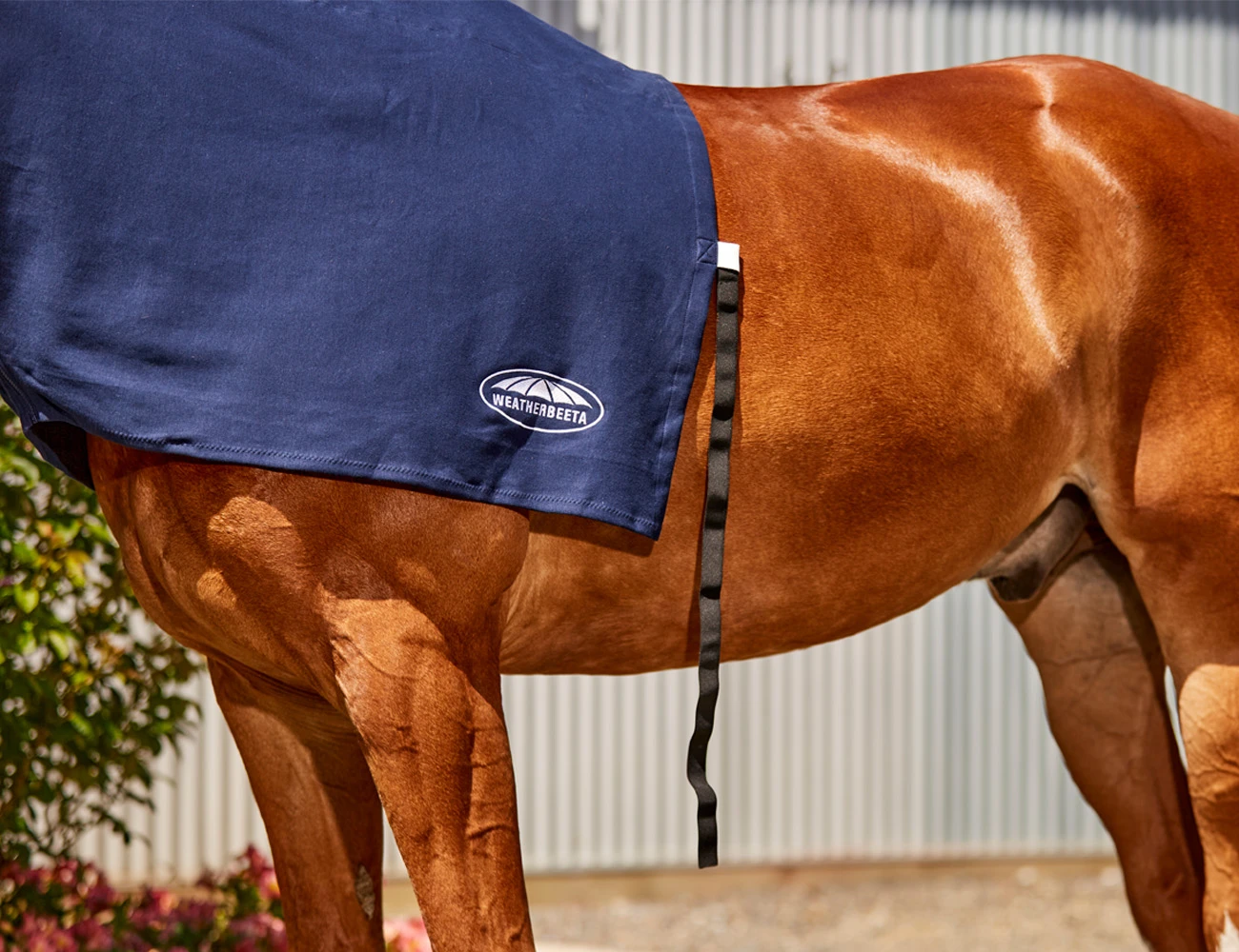 WEATHERBEETA Cotton Stretch Hood With Zip