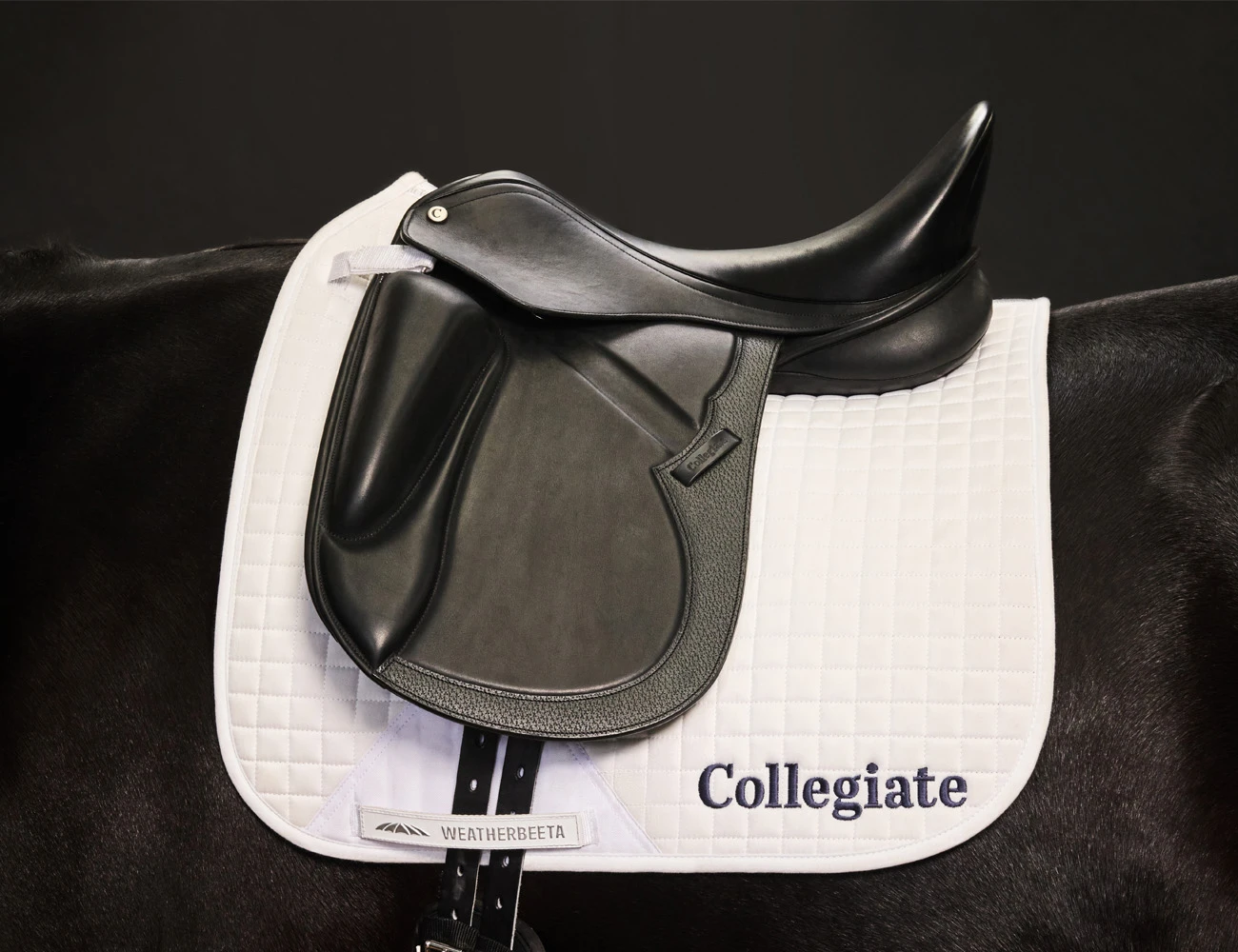COLLEGIATE Resolute Dressage Saddle