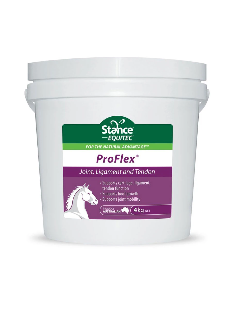 STANCE EQUITEC Equitec Pro-Flex - 4KG