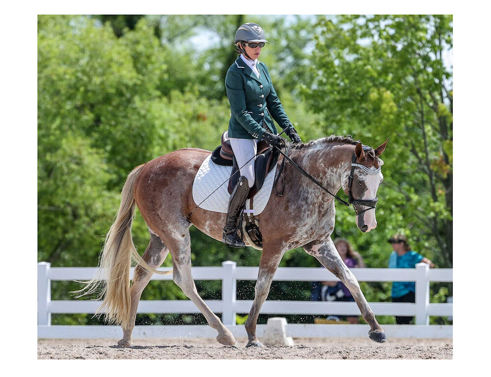 BREYER Traditional Full Moon Rising