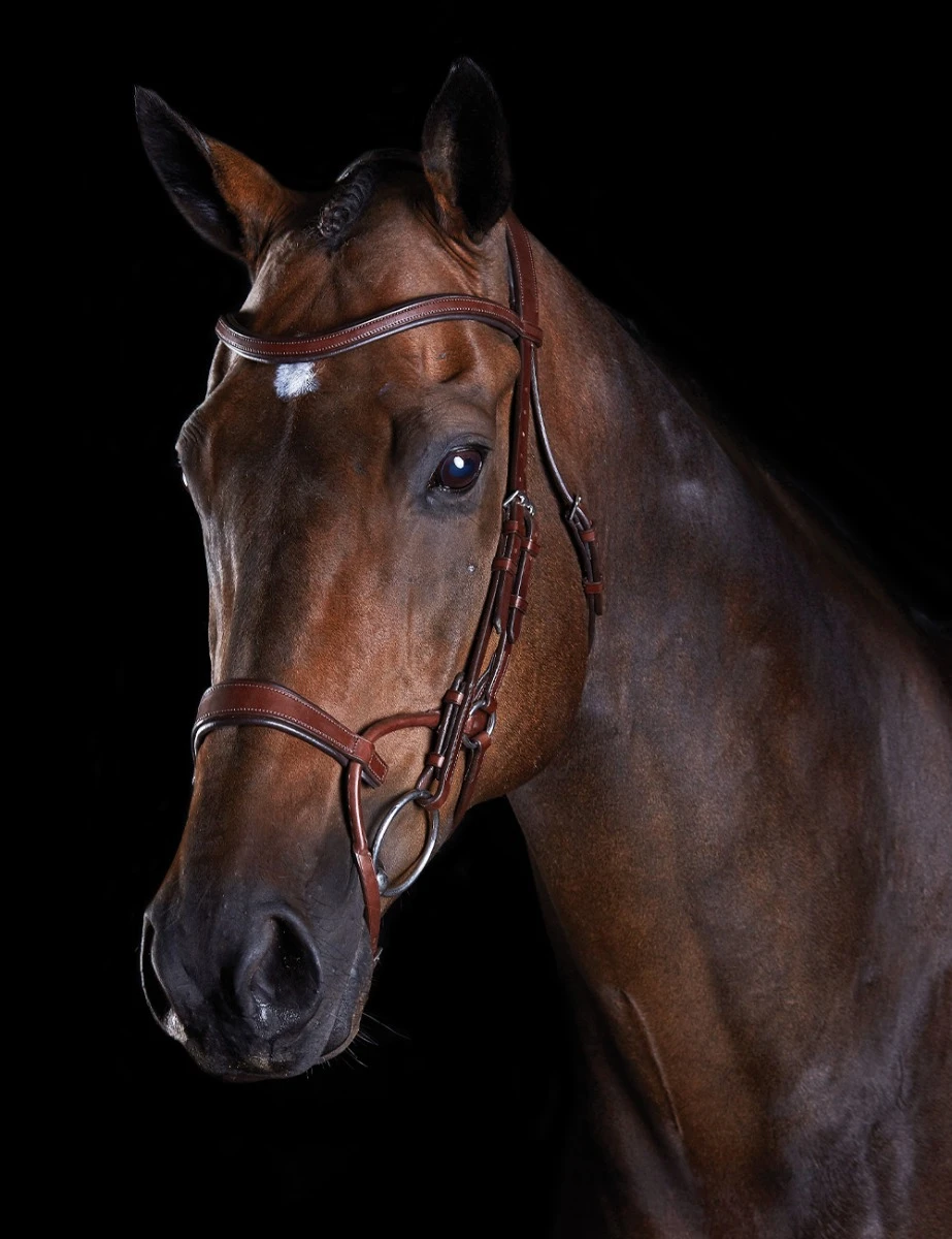 COLLEGIATE ComFiTec Training Bridle
