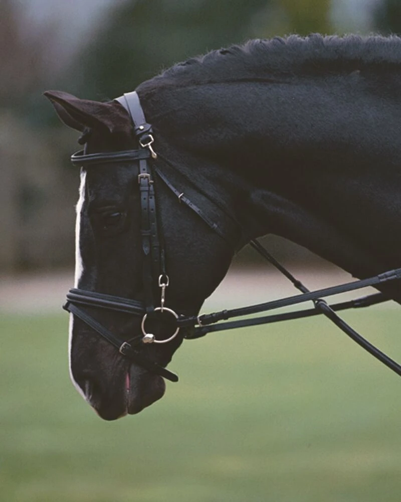 KINCADE Chambon