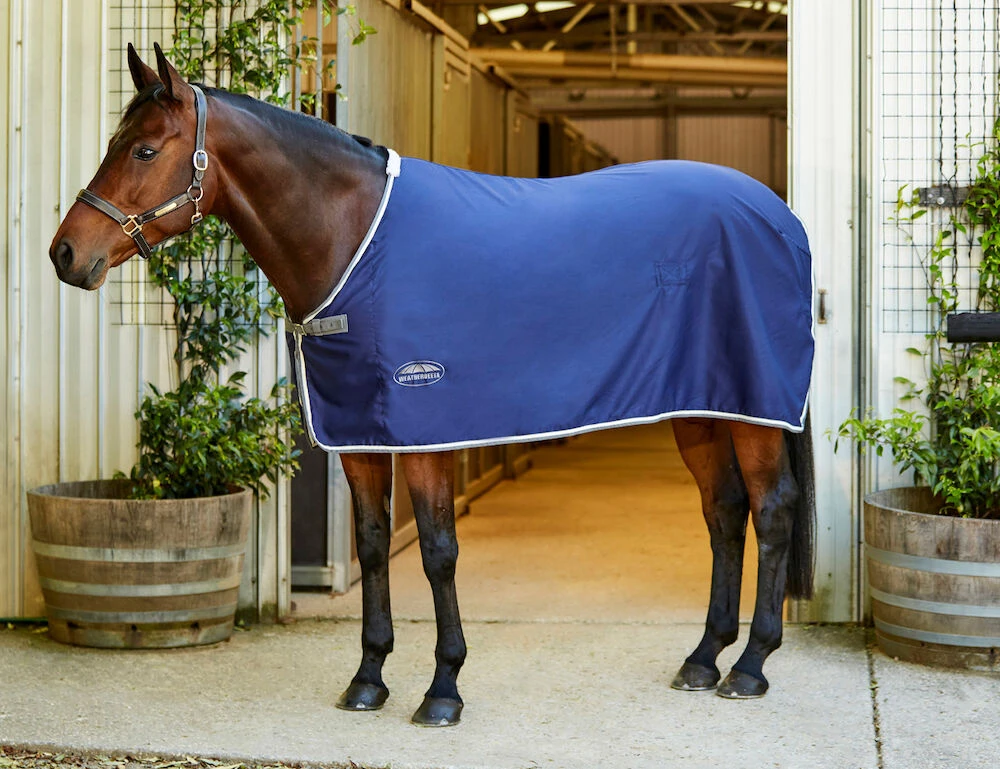 WEATHERBEETA Show Sheet Standard Neck
