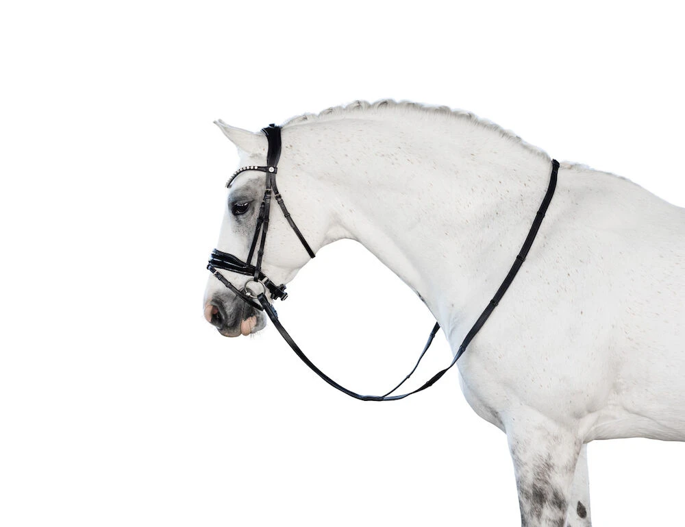 LARA TWEEDIE Glam Snaffle Bridle With Flash