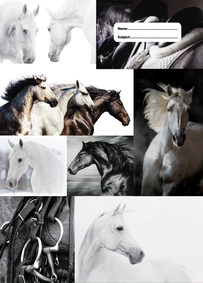 SPENCIL Black & White Horses Scrapbook Cover 4