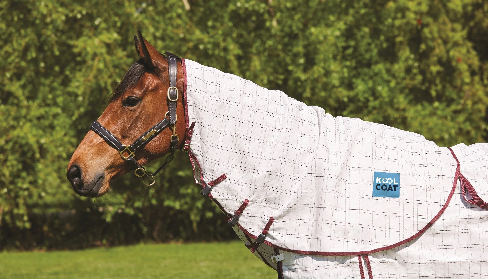 KOOL COAT Cotton Neck Rug