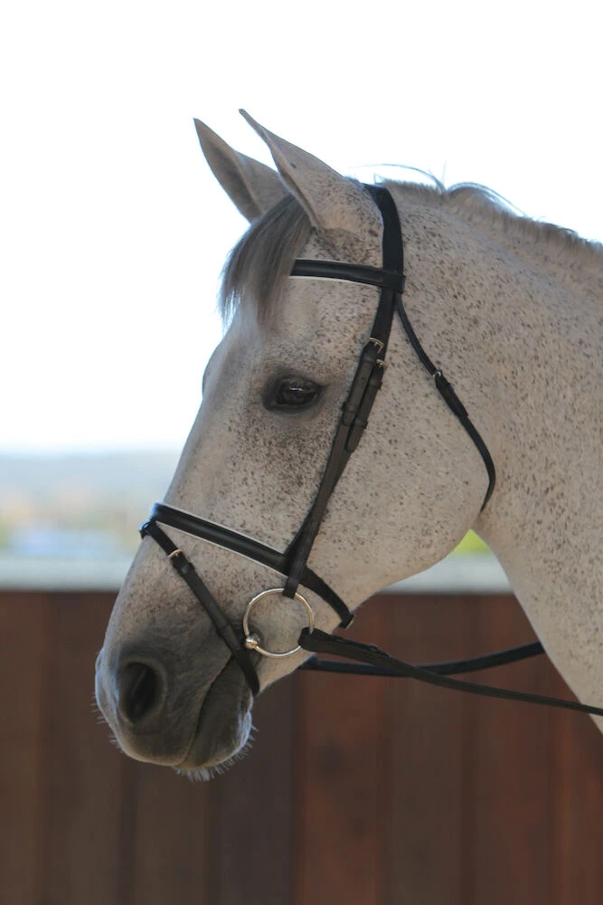 SADDLECRAFT Flash Bridle III