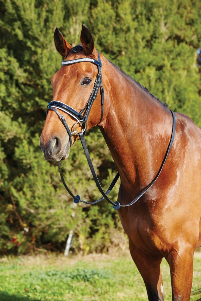 KINCADE Patent Crystal Flash Bridle
